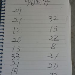 金沢八景鴨下丸 釣果