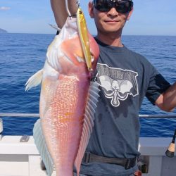 ARCADIAⅡ （アルカディアⅡ） 釣果