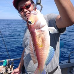 ARCADIAⅡ （アルカディアⅡ） 釣果