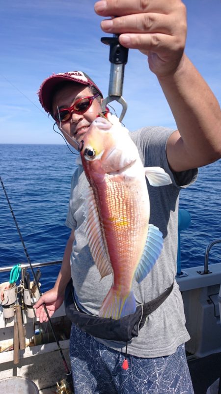 ARCADIAⅡ （アルカディアⅡ） 釣果