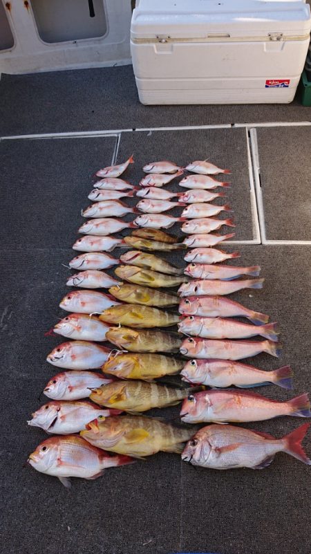 ARCADIAⅡ （アルカディアⅡ） 釣果…