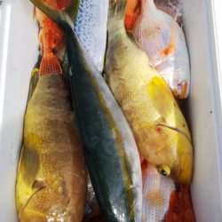 第二龍勢丸 釣果