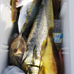 第二龍勢丸 釣果