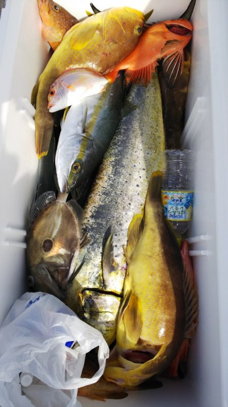 第二龍勢丸 釣果