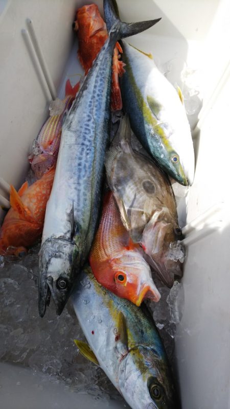 第二龍勢丸 釣果