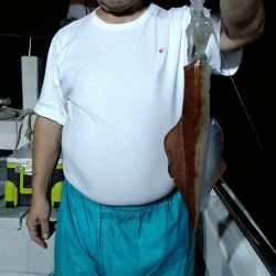 LUSTER『ラスター』 釣果