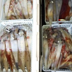 第二龍勢丸 釣果