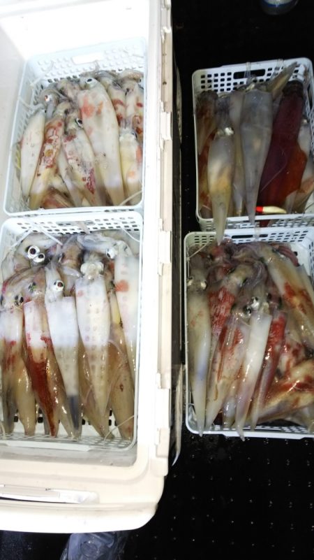 第二龍勢丸 釣果