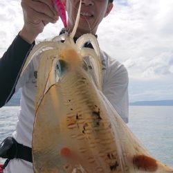 シースナイパー海龍 釣果