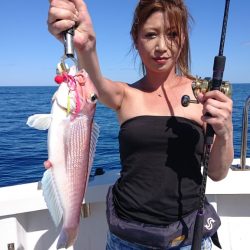 ARCADIAⅡ （アルカディアⅡ） 釣果