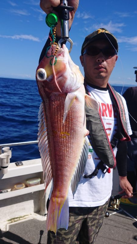 ARCADIAⅡ （アルカディアⅡ） 釣果