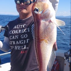 ARCADIAⅡ （アルカディアⅡ） 釣果