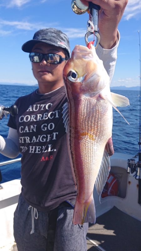 ARCADIAⅡ （アルカディアⅡ） 釣果