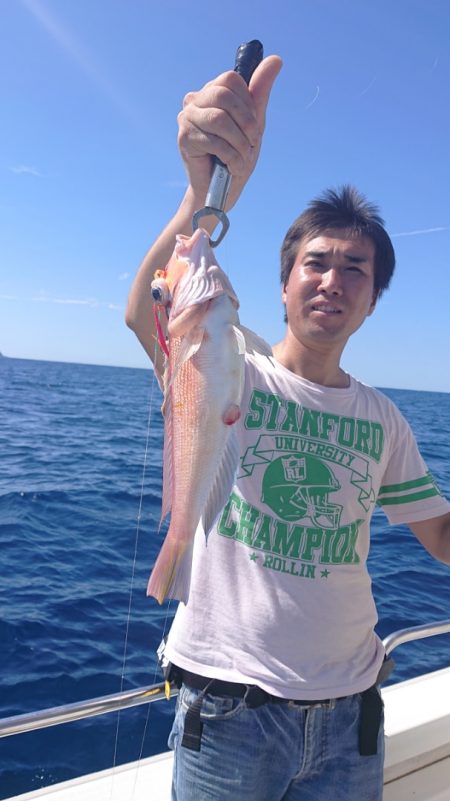 ARCADIAⅡ （アルカディアⅡ） 釣果