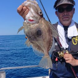 ARCADIAⅡ （アルカディアⅡ） 釣果