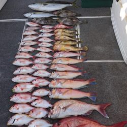 ARCADIAⅡ （アルカディアⅡ） 釣果