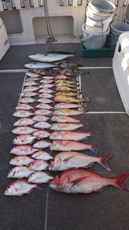 ARCADIAⅡ （アルカディアⅡ） 釣果