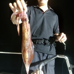 LUSTER『ラスター』 釣果