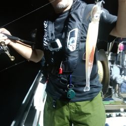 LUSTER『ラスター』 釣果