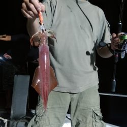 LUSTER『ラスター』 釣果