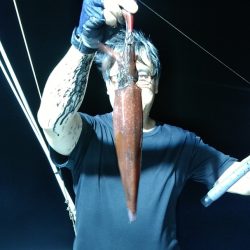 LUSTER『ラスター』 釣果