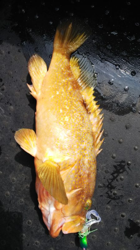 第二龍勢丸 釣果