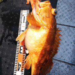 第二龍勢丸 釣果