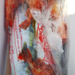 第二龍勢丸 釣果