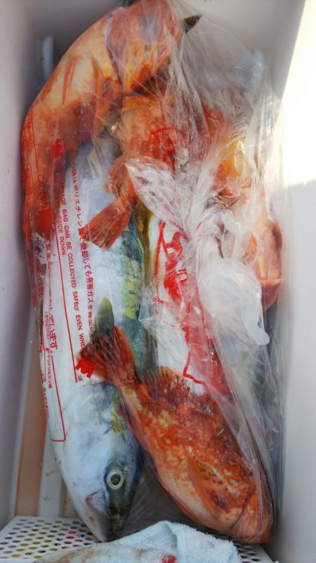 第二龍勢丸 釣果