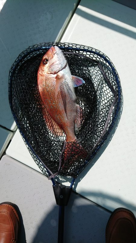 第二ゆず丸 釣果