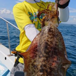 シースナイパー海龍 釣果