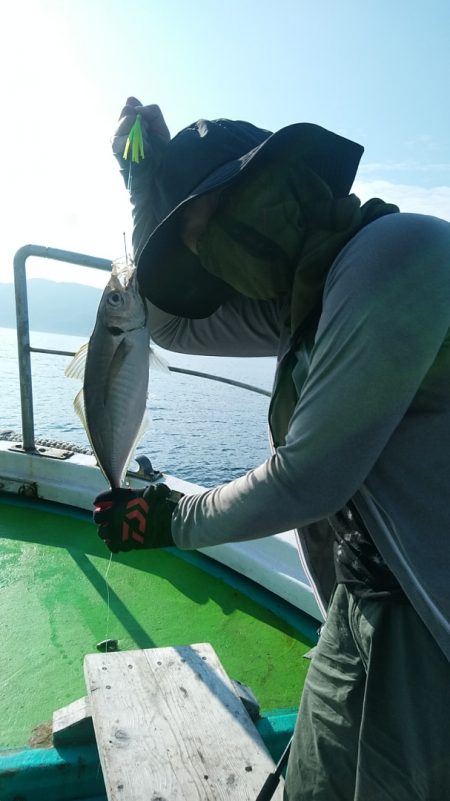 小島丸 釣果