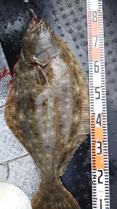 第二龍勢丸 釣果