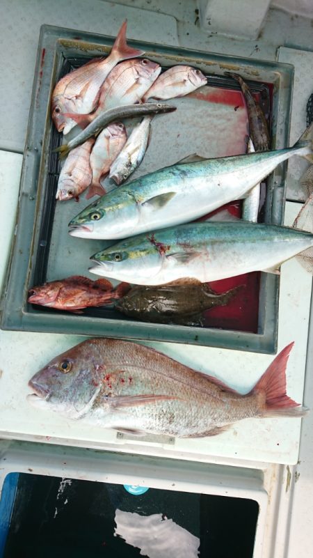 第二ゆず丸 釣果