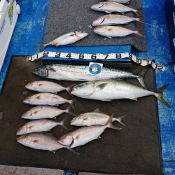 清和丸 釣果