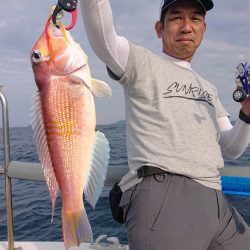 ARCADIAⅡ (アルカディアⅡ) 釣果