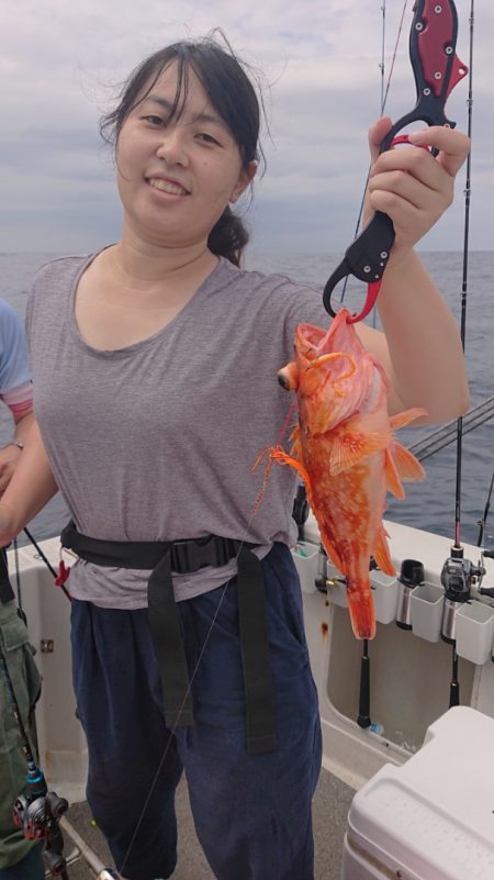 ARCADIAⅡ (アルカディアⅡ) 釣果