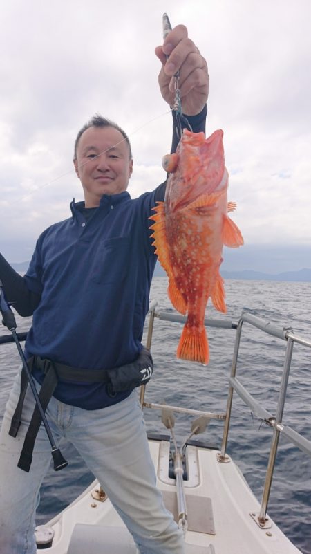 ARCADIAⅡ (アルカディアⅡ) 釣果