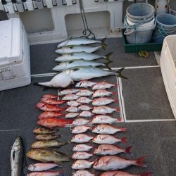 ARCADIAⅡ (アルカディアⅡ) 釣果