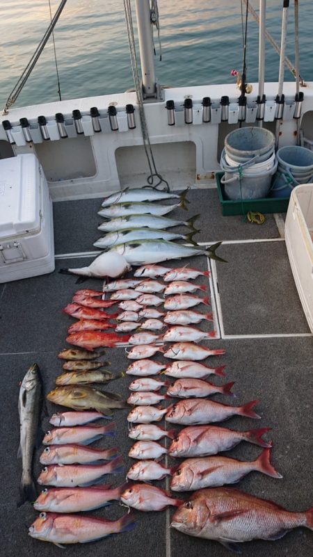 ARCADIAⅡ (アルカディアⅡ) 釣果