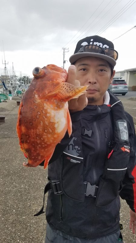 進誠丸 釣果