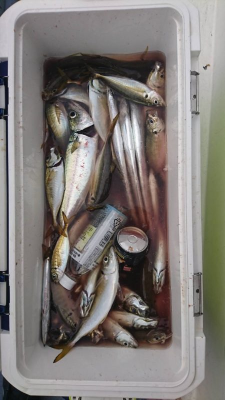 金沢八景鴨下丸 釣果