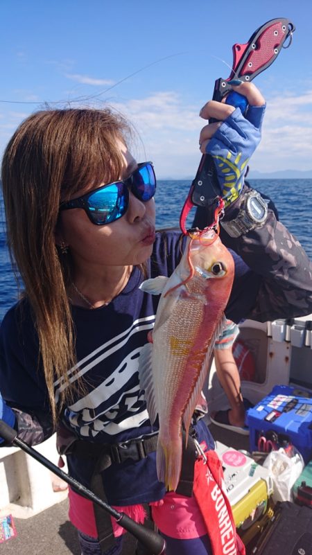 ARCADIAⅡ （アルカディアⅡ） 釣果