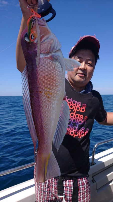 ARCADIAⅡ （アルカディアⅡ） 釣果