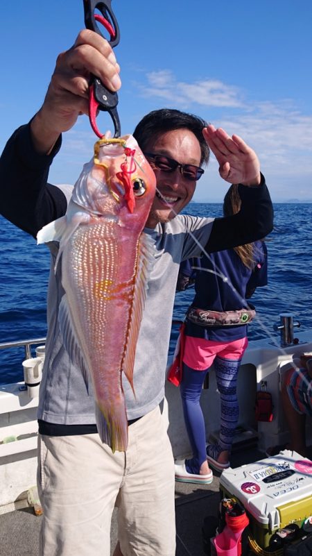 ARCADIAⅡ （アルカディアⅡ） 釣果