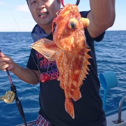 ARCADIAⅡ （アルカディアⅡ） 釣果