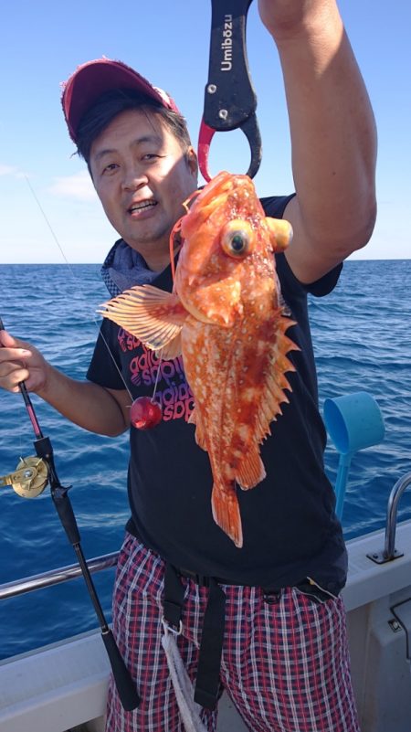 ARCADIAⅡ （アルカディアⅡ） 釣果