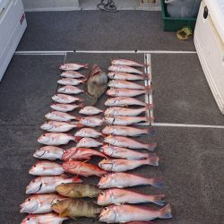 ARCADIAⅡ （アルカディアⅡ） 釣果