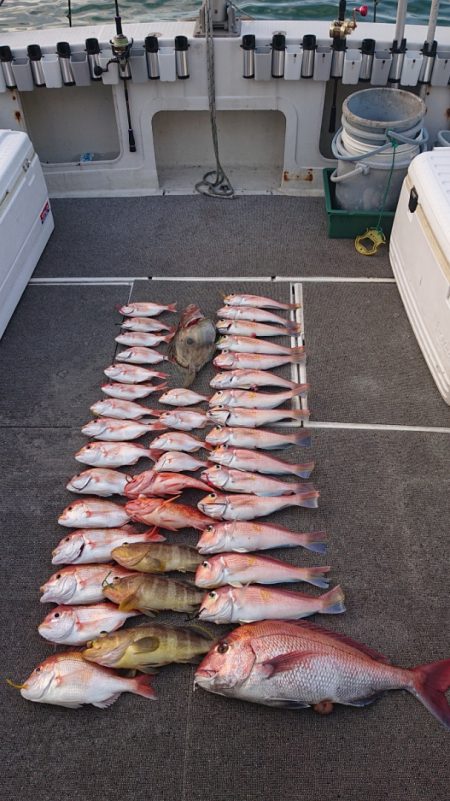 ARCADIAⅡ （アルカディアⅡ） 釣果