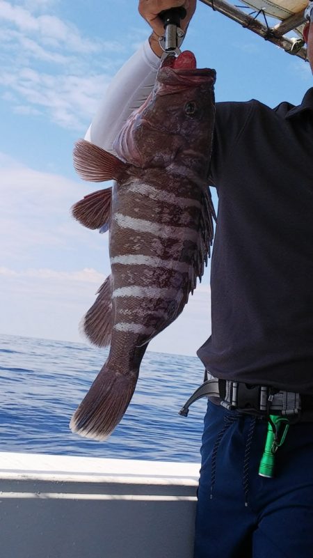 第二龍勢丸 釣果